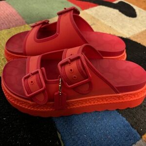 Coach platform sandals
